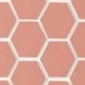 Coral Coral