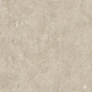 Light Grey Light Grey