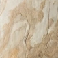 Tan Beige Tan Beige